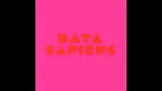 Discemi - Data Sapiens (Radio Slave Remix)