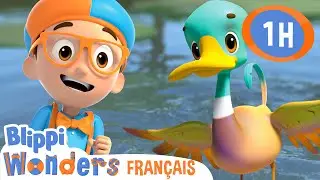 Les canards 🔎 Un spectacle animé de Blippi Wonders - Apprendre c'est amusant!