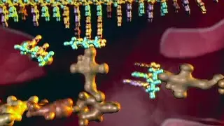 THE EVIDENCE OF BIOLOGICAL MACHINES