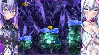 Donkey Kong Country 2 - Arctic Abyss