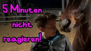 Ich darf wieder 5 Minuten NICHT REAGIEREN 🦄 Diesmal mit Joey 😍