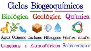 ♻️ Ciclos Biogeoquímicos 🌐 [Fácil y Rápido] | BIOLOGÍA |