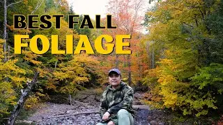 5 BEST Places To See The Fall Foliage in New York