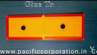 Rodent Bait Station | Glue Trap | Pacific Corporation | Jaipur, Rajasthan