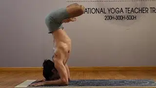 Practice for Karandavasana Himalayan Duck or Goosepose | Ashtanga Yoga | Arm Strength | Blance