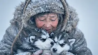 80-Year-Old Woman Rescues Freezing Mother Dog & Newborn Puppies in a Siberian Blizzard (-71&deg;C)