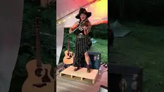 Pied Pirate