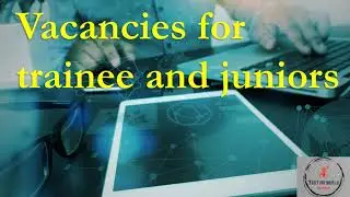 Вакансії для junior та trainee тестувальників. Огляд ринку
