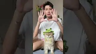 Man Makes Cat Wear Cute Hat - 1634621