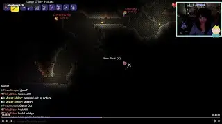 Terraria + random games - Soydreamy Vod Archive