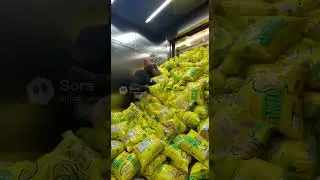 Атака Funyuns была просто безумной 🤣 #шорты #перекусыток