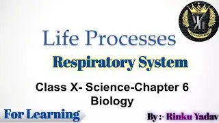 Life Processes - Respiratory system|One Shot|Class 10th Biology|B.Sc Agri 6 year program|@MissionHAU