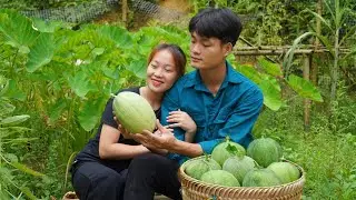 Harvesting cantaloupe, Go to the market to sell, One day living with my girlfriend