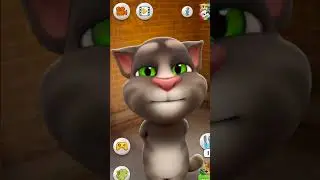 pankaj short edit video cat #catvideos cartoon dhamaka 😹😹😹😹