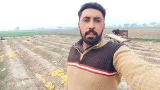 Complete Work Of Today || آج کام مکمل || بہاریہ مکئی بھی لگا دی 
