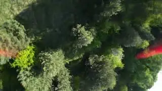 chill forest fpv flight #nostab