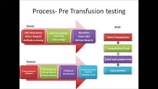 T-fusion | Pre-transfusion compatibility testing: because crossmatch is not enough.