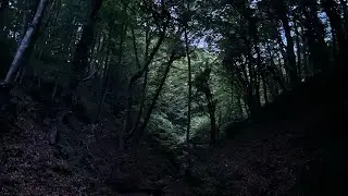 ORMAN &Ccedil;OCUKLARI VLOG AYIDAN FLN KA&Ccedil;MADIK Hİ&Ccedil; TEHLİKELİ FLN OLMADI