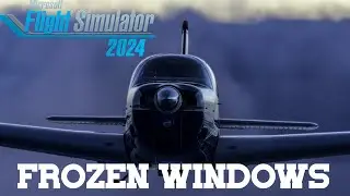 Frozen Windows | MSFS 2024