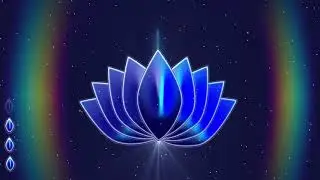 Fleur de Lotus 4K / 5 minutes de cohérence cardiaque