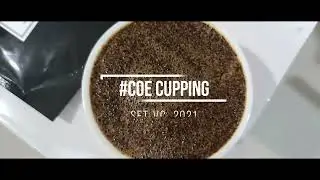 COE sensory educational training virtual calibration : Cupping From Thailand