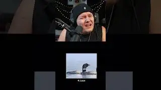 Bird sounds like a machine gun 🫤 #beatbox