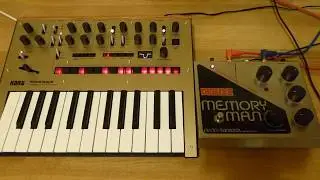 Korg Monologue & EHX Deluxe Memory Man