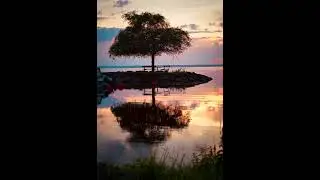 Take a break from scrolling for 1 minute and relax with Soothing Relaxation 💚 #nature #relaxing