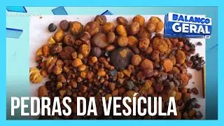 Criminosos roubam pedras da vesícula de boi, avaliadas em R$ 2 milhões