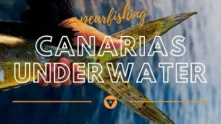 Specials | Spearfishing The Canary Islands E2