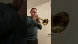 SOLD: Gebr. Alexander Mainz D Trumpet