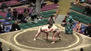 4K二子山部屋 延原 炎鵬 夢道鵬 聖富士【大相撲令和8年1月場所】13日目 初場所 [JAN 2026 DAY13] 2026/01/23