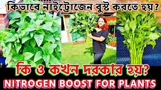 কিভাবে নাইট্রোজেন বুস্ট করতে হয়? নাইট্রোজেন বুস্ট কি ও কখন দরকার হয়? NITROGEN BOOST FOR PLANTS