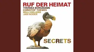 Birds and a Cow (Live, Heiligenwald, 2019)