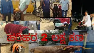 Harihara 2lak Tournament update