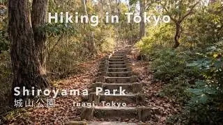 Hiking in Tokyo &mdash; A Hidden Hillside Park Walk | 城山公園 | Inagi, Tokyo (4K UHD)