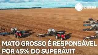 Mato Grosso é responsável por 45% do superávit nacional