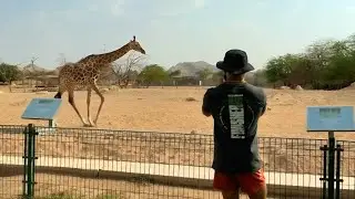 Spartan Beast 2025 at Al Ain Zoo, UAE