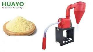 9HFZ-210 Corn Mill Machine to make fine powder #Shorts