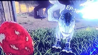 Hatching a baby T-Rex in ark 