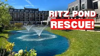 Massive Pond Cleanout at the Ritz! Full Drain, Deep Wash & a Crazy Water Bubble Find!