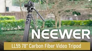 Introducing the NEEWER LL55 78