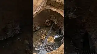 Septic System Alert: Time to Replace Your Distribution Box? #home #realestate #fail #construction