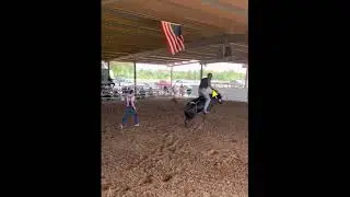 8/10/25 bull ride analysis