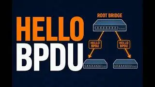 010 STP – Hello BPDUs