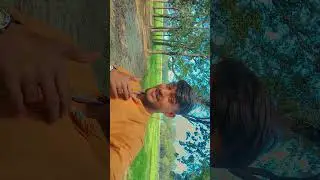kahani hai meri. #support #aestheic #lovesong #bollywoodmusic #love #nature #hindisong