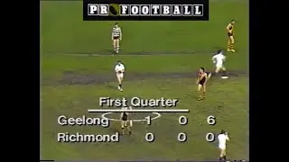 1986 Round 22 - Richmond v Geelong (ProFootball)