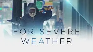 Todd WX 15