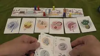 Обзор фильма «Кошка между нами»