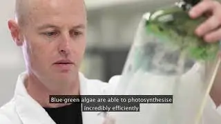 Solve it with Science - improving photosynthesis in food crops